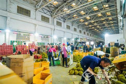 走進(jìn)助農(nóng)基地 研討直播電商 專家達(dá)人聚云南共話直播助農(nóng)