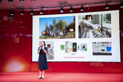 屏山君 聚焦首要政治任務,他們這么說這么干