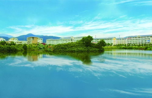 歡迎回家 武夷學院建校60周年暨南平人才發展展望