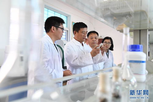 走進(jìn)田間地頭 科技特派員在福建南平的成長(zhǎng)之路